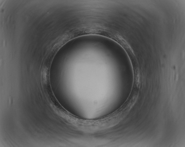 X0000087630026200705031456