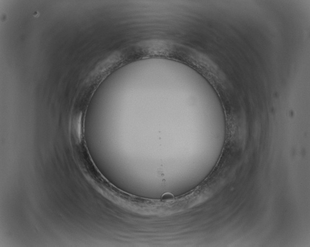 X0000087630028200705031456