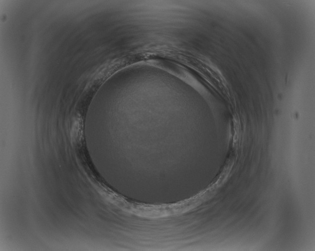 X0000087630029200705031456