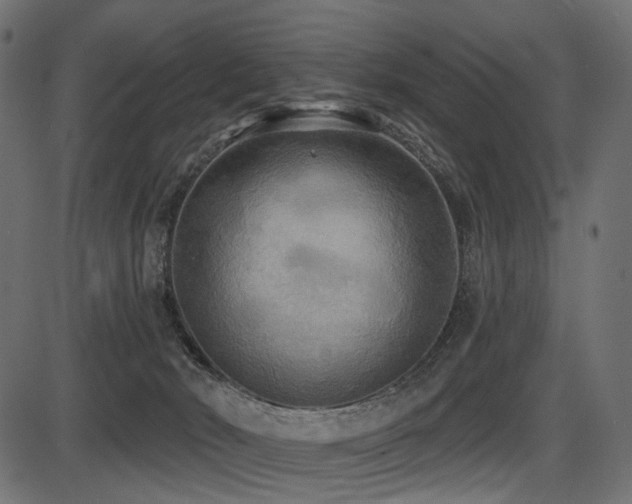 X0000087630030200705031456