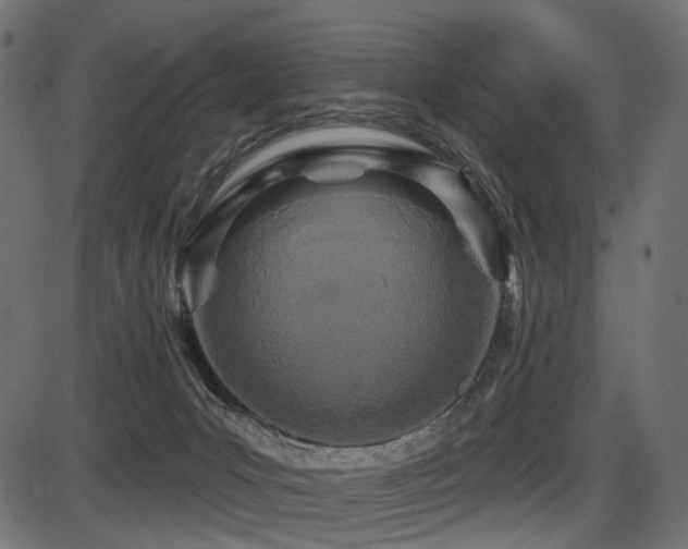 X0000087630031200705031456