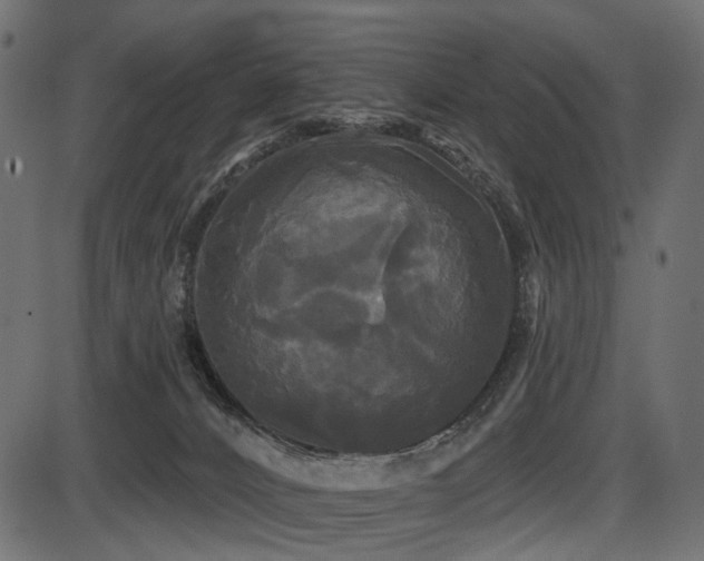 X0000087630032200705031456