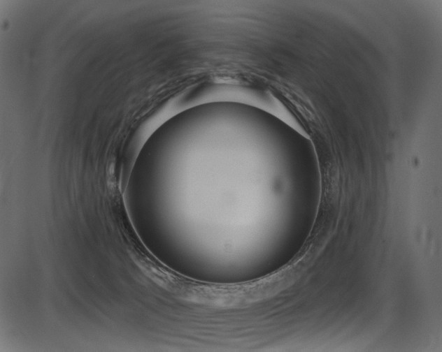 X0000087630033200705031456