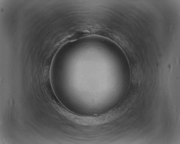 X0000087630034200705031456