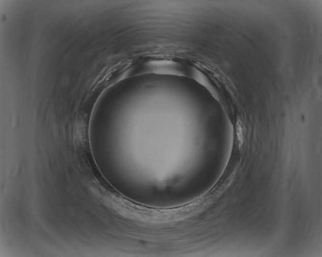 X0000087630035200705031456