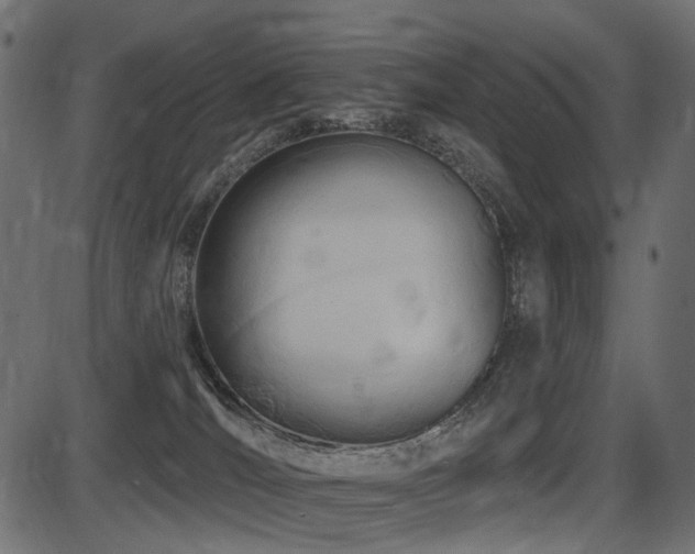 X0000087630036200705031456