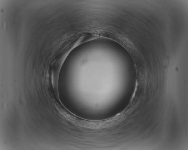 X0000087630037200705031456