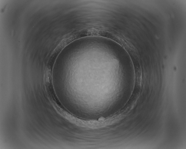 X0000087630038200705031456