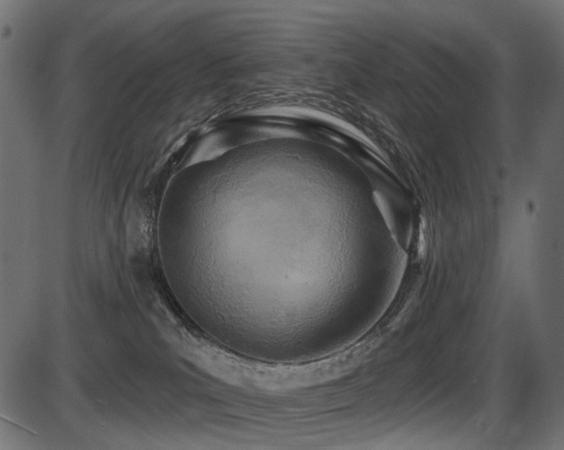 X0000087630039200705031456