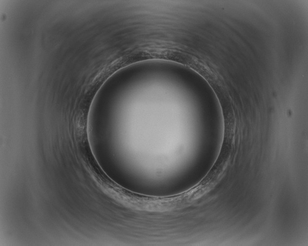 X0000087630040200705031456