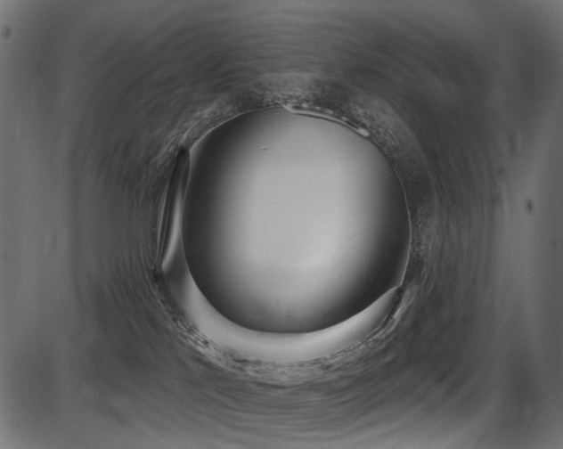 X0000087630041200705031456