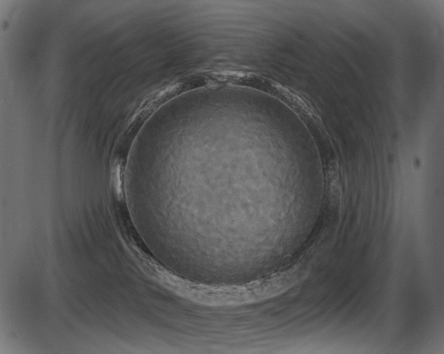 X0000087630042200705031456