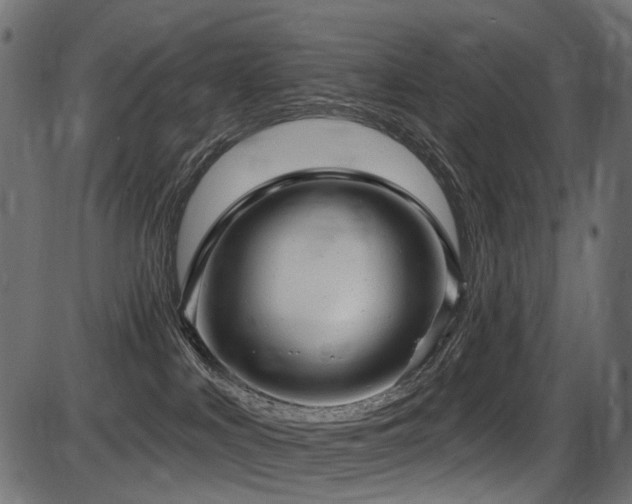 X0000087630043200705031456