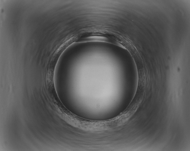 X0000087630044200705031456