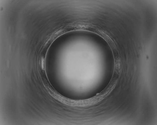 X0000087630046200705031456