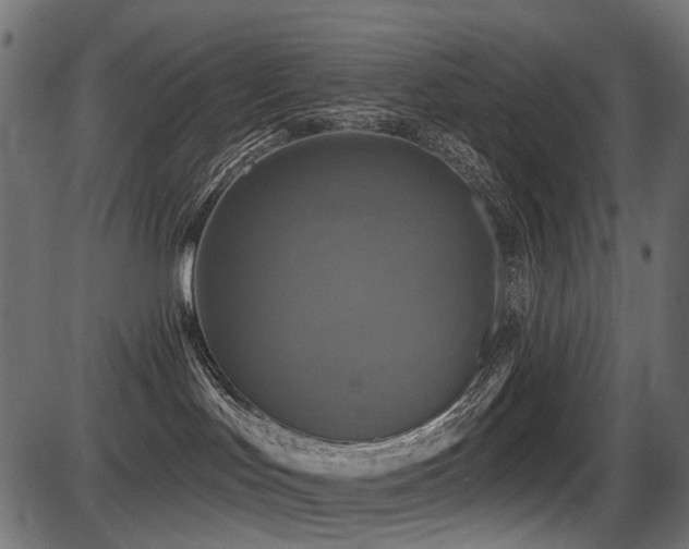 X0000087630047200705031456