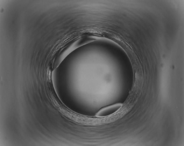 X0000087630048200705031456