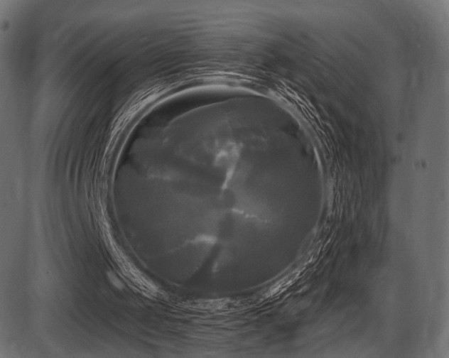 X0000087630049200705031455