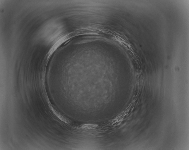 X0000087630051200705031455