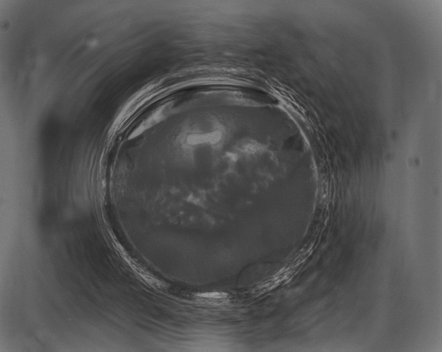 X0000087630053200705031455