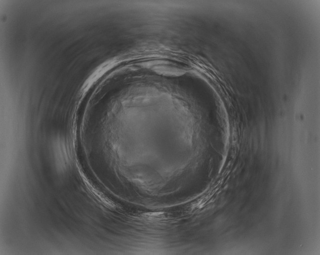 X0000087630054200705031455