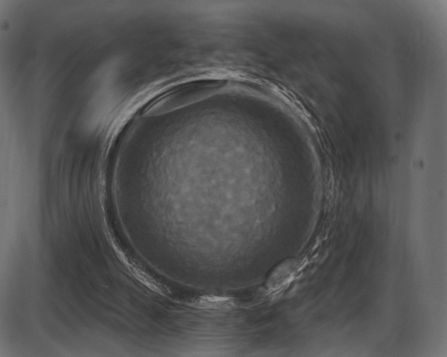 X0000087630055200705031455