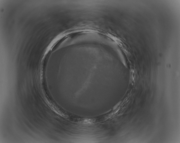 X0000087630056200705031455