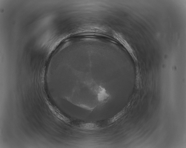 X0000087630058200705031455