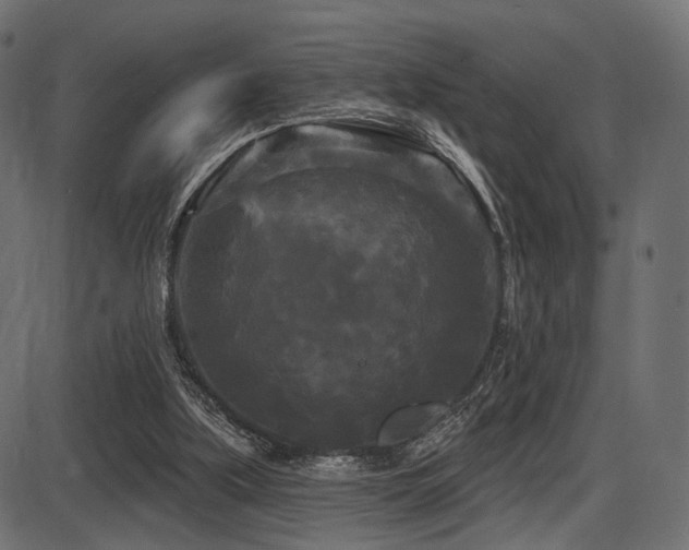 X0000087630059200705031456