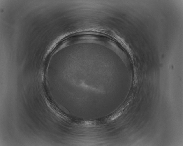 X0000087630060200705031456