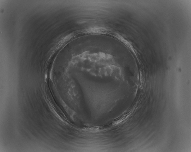 X0000087630061200705031456