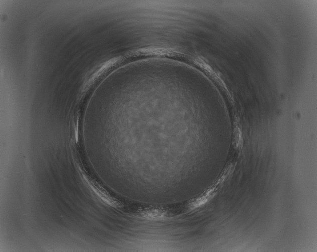 X0000087630062200705031456