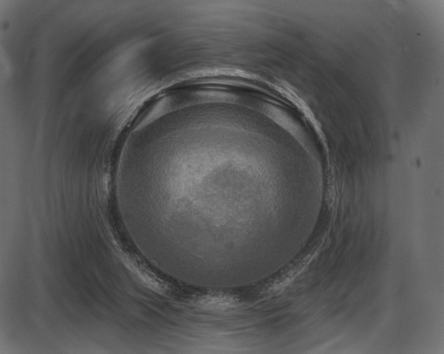 X0000087630063200705031456