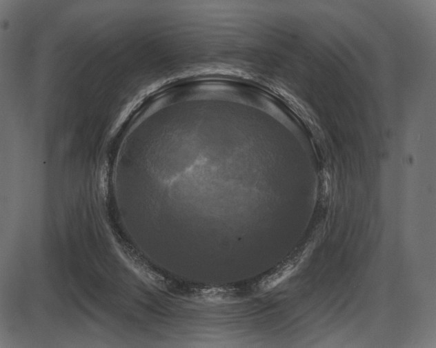 X0000087630064200705031456