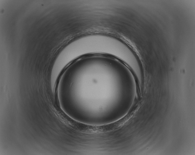 X0000087630065200705031456