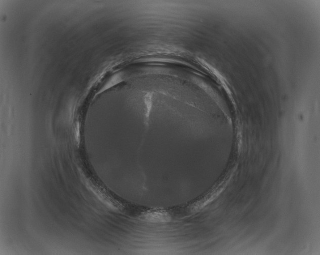 X0000087630067200705031456