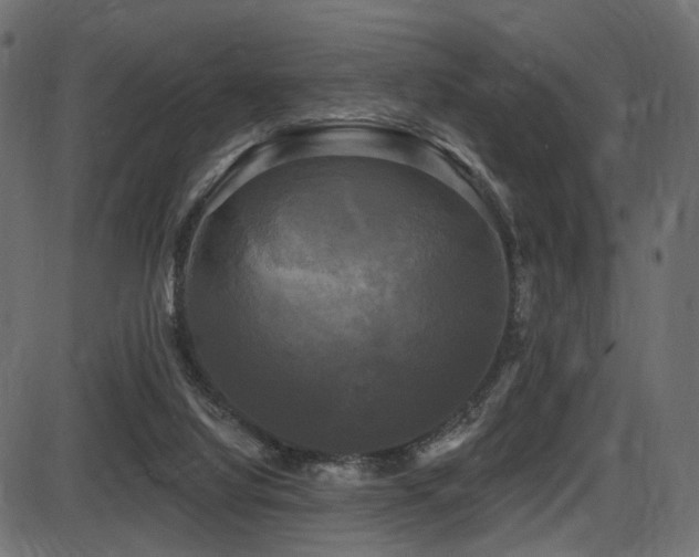 X0000087630068200705031456