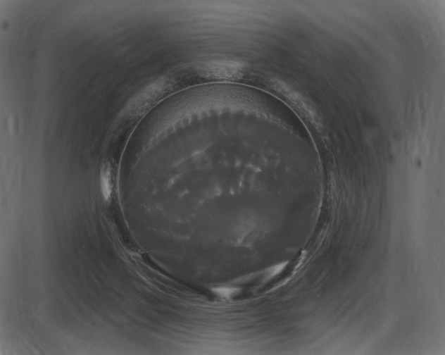 X0000087630069200705031456