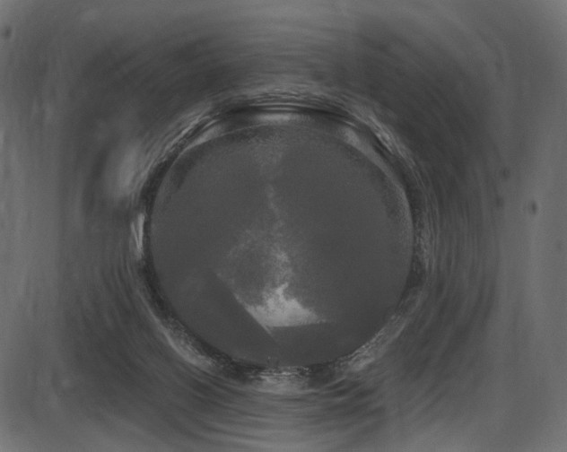 X0000087630070200705031456