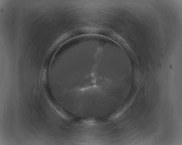 X0000087630071200705031456