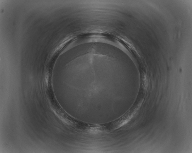 X0000087630072200705031456