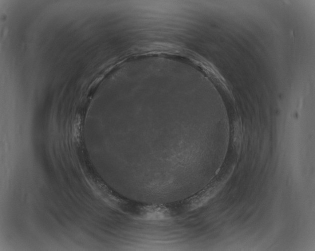 X0000087630073200705031456