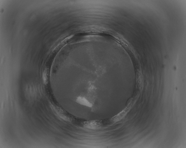 X0000087630074200705031456