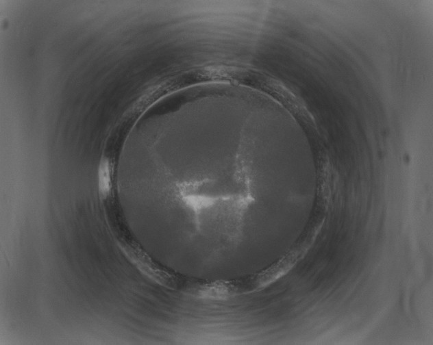 X0000087630075200705031456