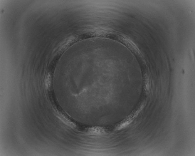 X0000087630077200705031456