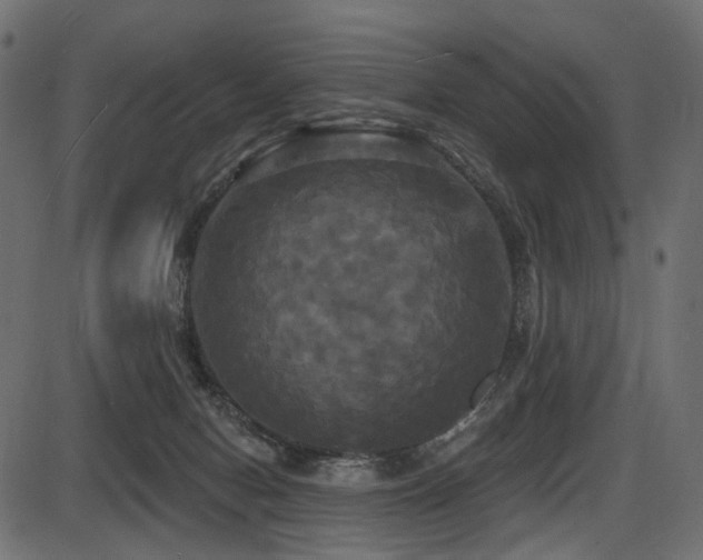 X0000087630078200705031456