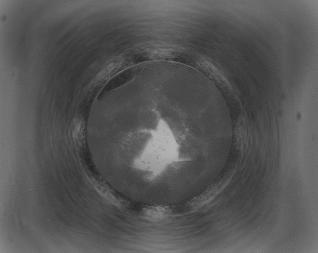 X0000087630079200705031456