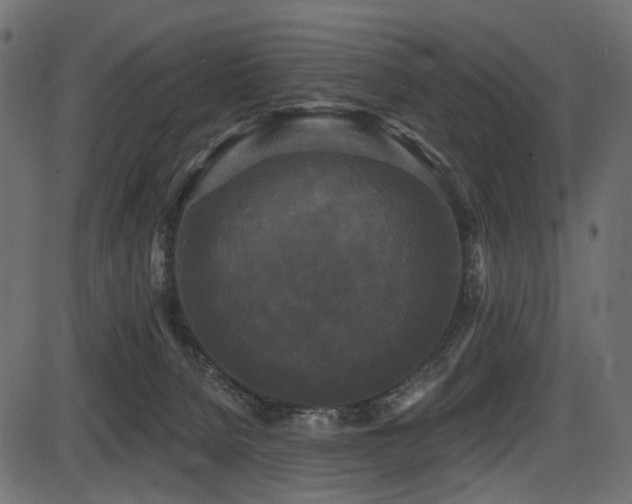 X0000087630080200705031456