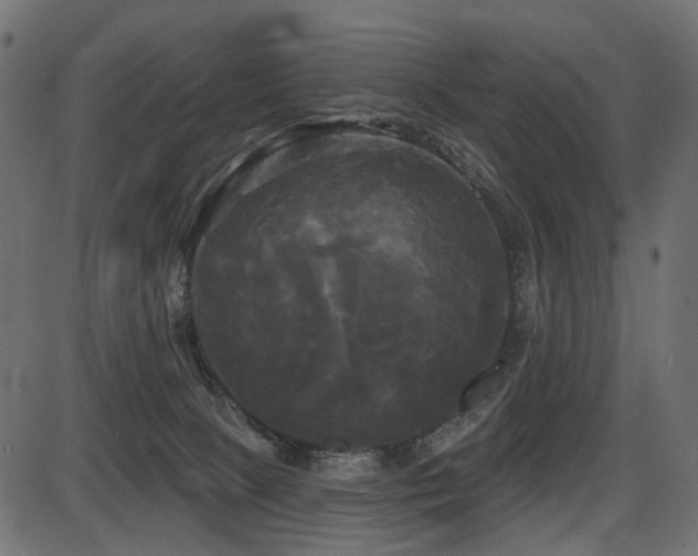 X0000087630081200705031456