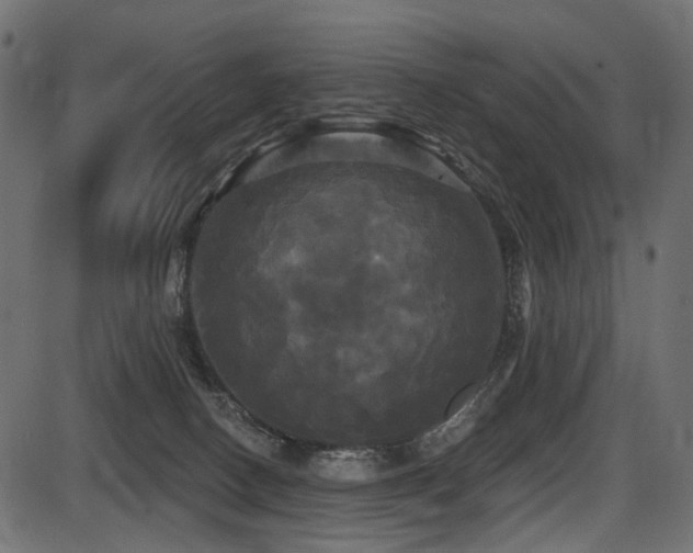 X0000087630082200705031456